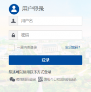 �Ͼ���ׯѧԺ��������������:http://ehall.njxzc.edu.cn/new/index.html