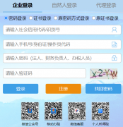 ����˰���ܾ�ɽ��ʡ����˰���https://etax.shandong.chinatax.gov.cn/