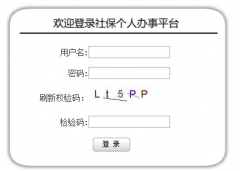 www.12333sh.gov.cn�Ϻ��籣��ѯ�����˻���ѯϵͳ