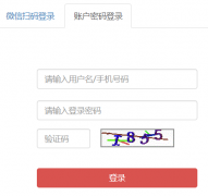 ��ʿ���ӻ�ע����Ϣϵͳ���˶�https://cnnursys.cn/home/index