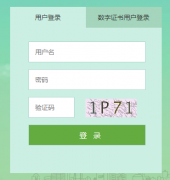 �������������걨ϵͳ���http://wangshen.bdpf.org.cn/page/login/login.h